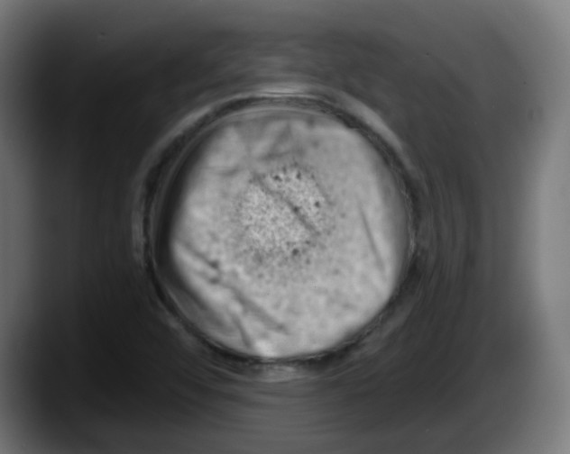 X0000087551456200705251730