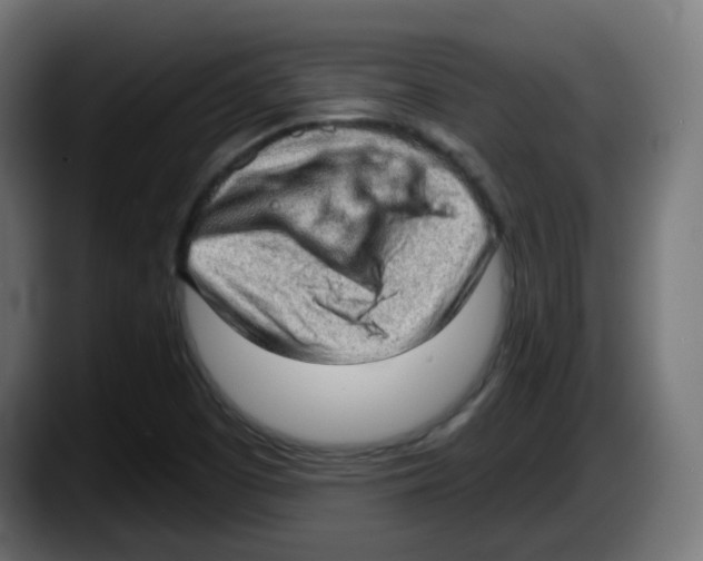 X0000087551457200705251730