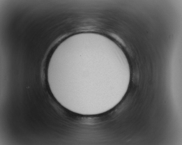 X0000087551458200705251730