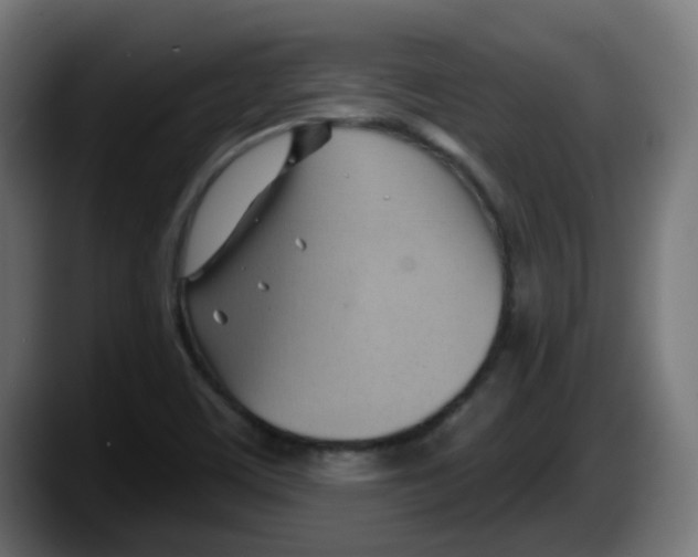 X0000087551459200705251730