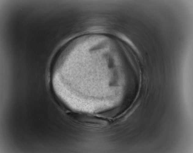 X0000087551461200705251730