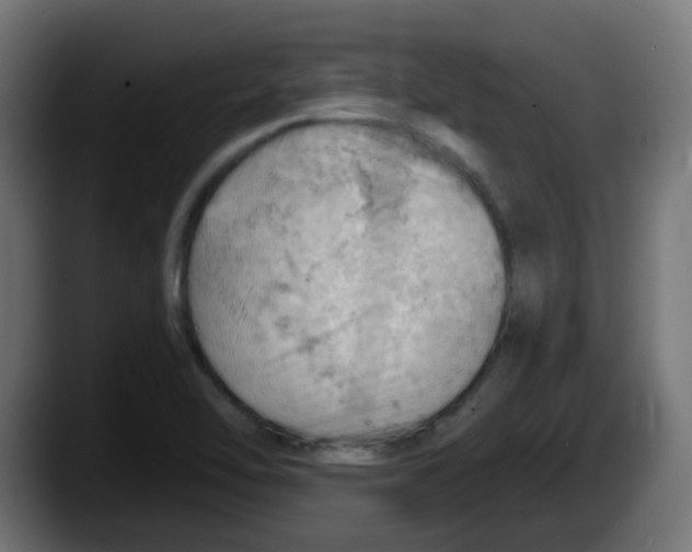 X0000087551462200705251730