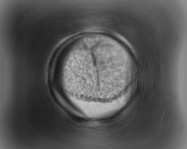 X0000087551463200705251730