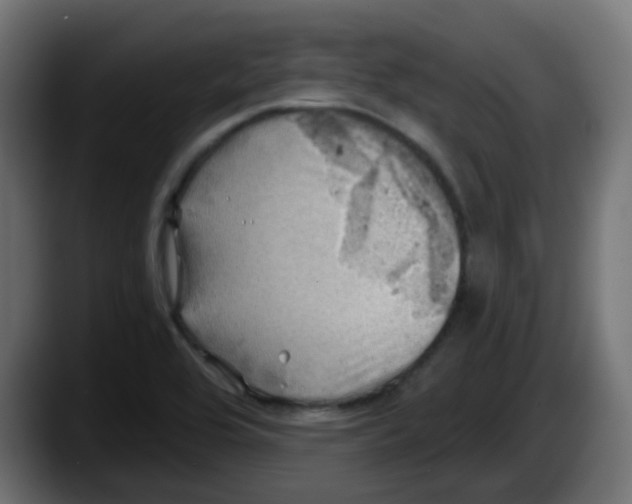 X0000087551464200705251730