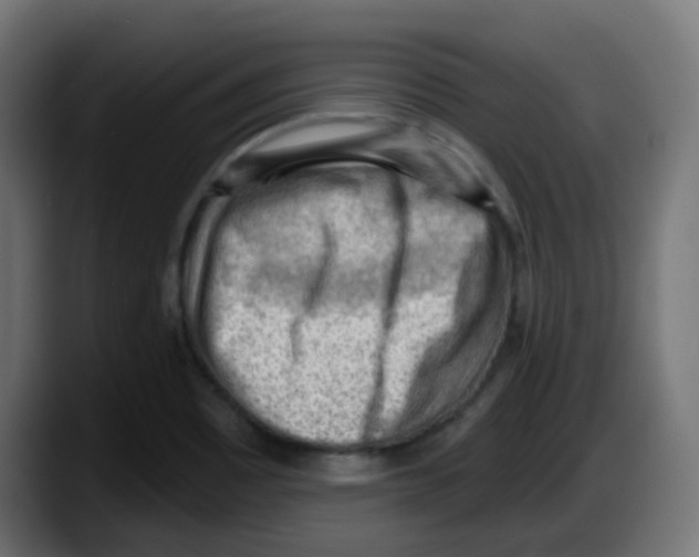 X0000087551465200705251730