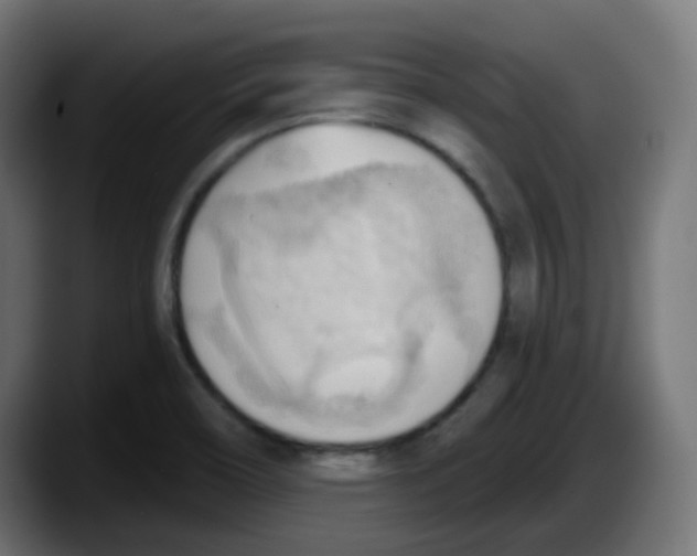 X0000087551466200705251730