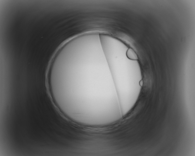 X0000087551468200705251730