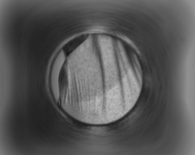 X0000087551469200705251730