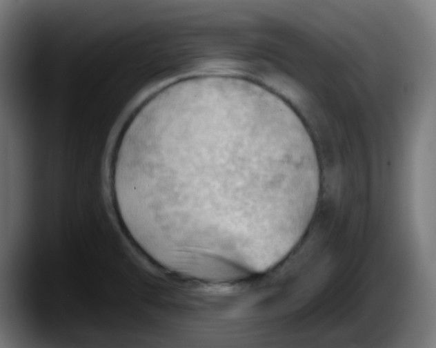 X0000087551470200705251730