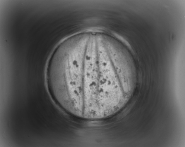 X0000087551471200705251730