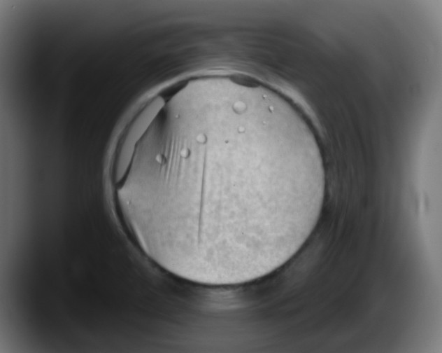 X0000087551472200705251730