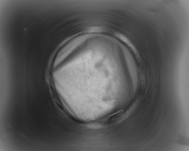 X0000087551473200705251730