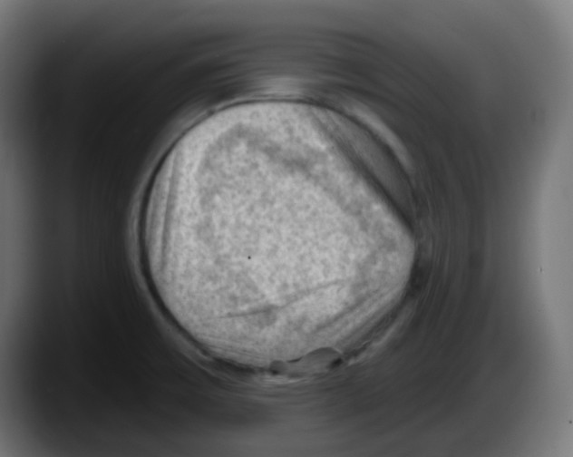 X0000087551475200705251730