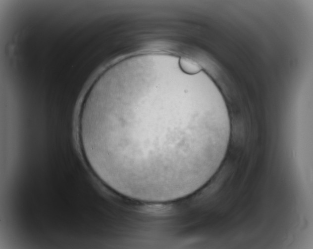 X0000087551478200705251730