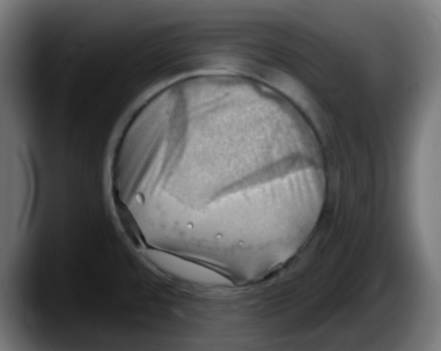 X0000087551480200705251730