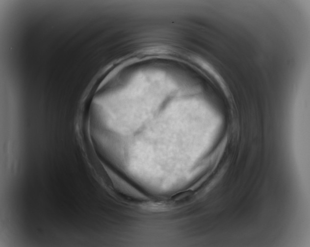 X0000087551481200705251730