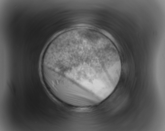 X0000087551482200705251730