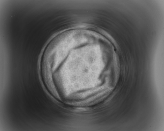 X0000087551483200705251730