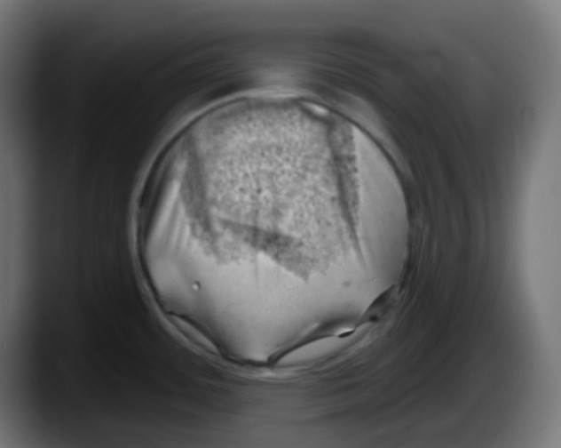 X0000087551484200705251730