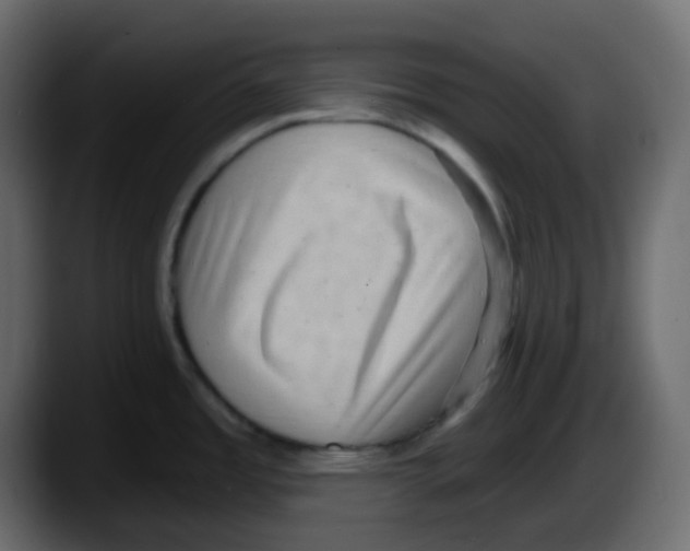 X0000087551485200705251730