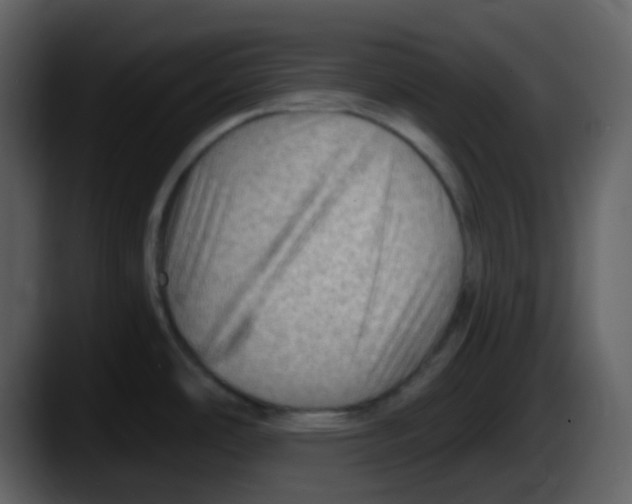 X0000087551486200705251730