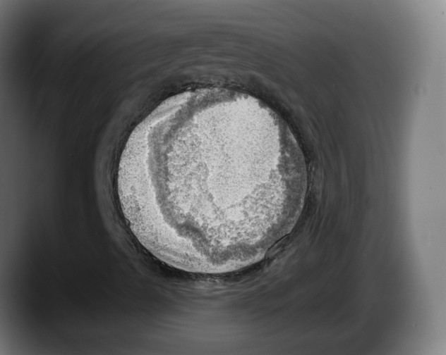 X0000087551489200705251729