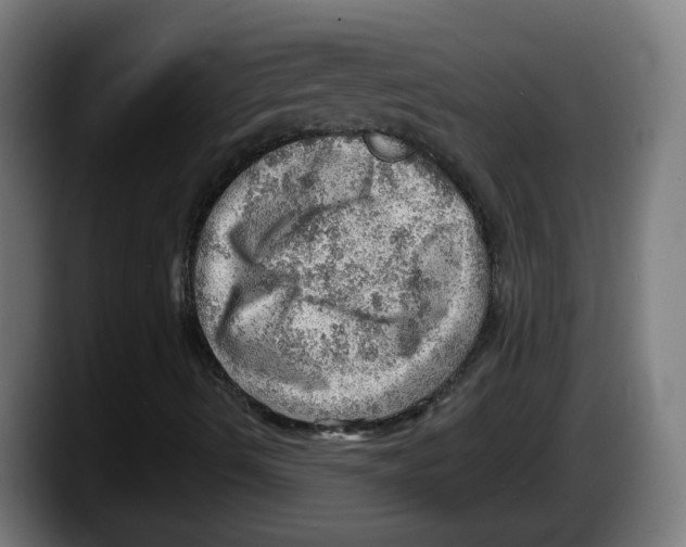 X0000087551490200705251729