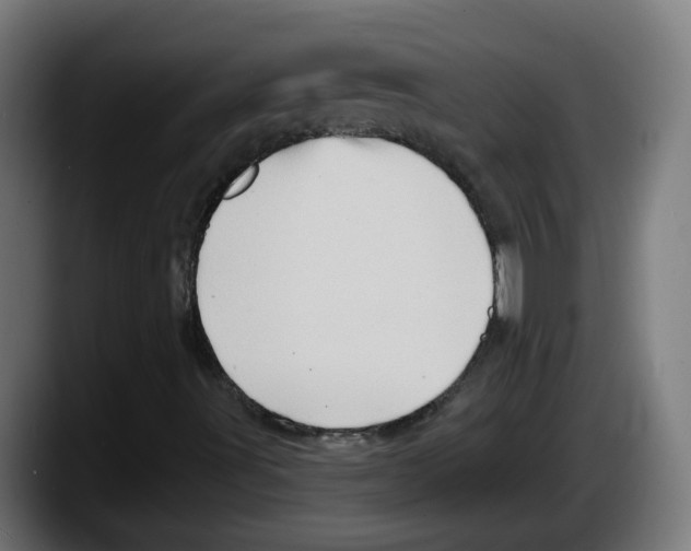 X0000087551491200705251729