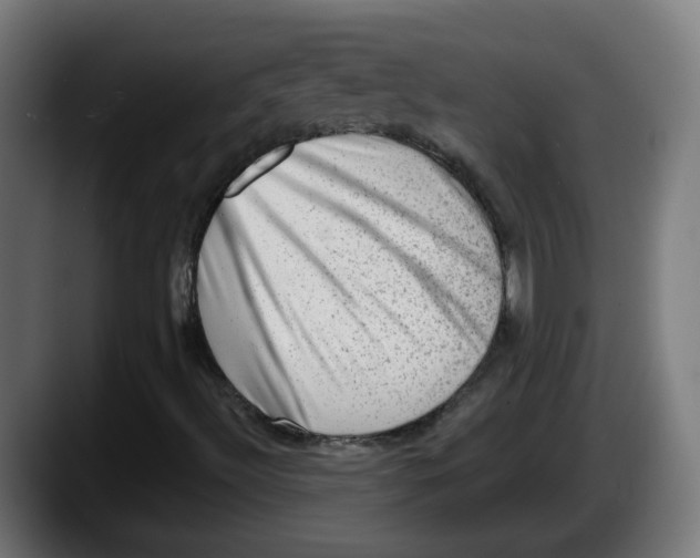 X0000087551492200705251729