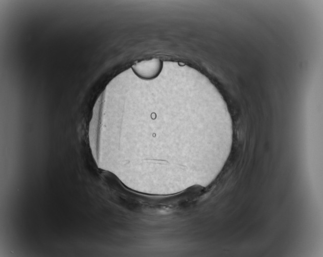 X0000087551495200705251729