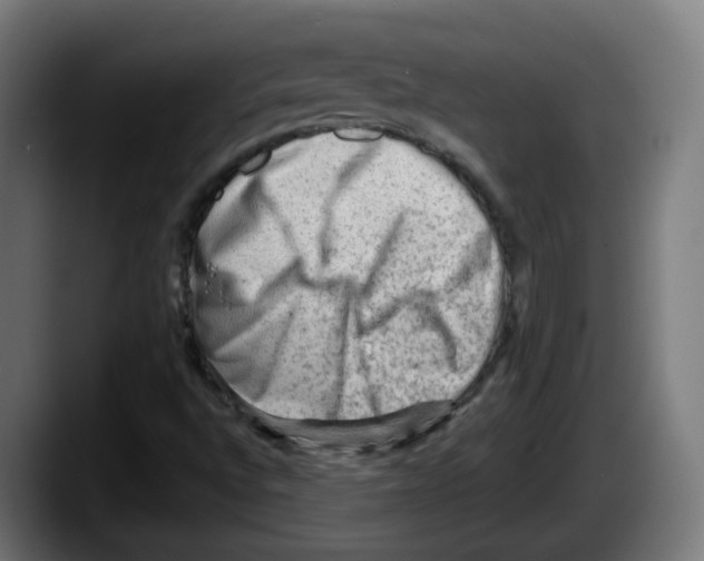 X0000087551496200705251729