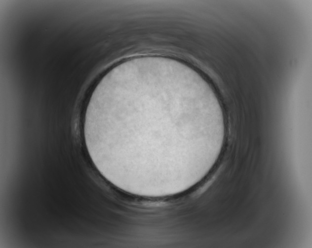 X0000087551498200705251729