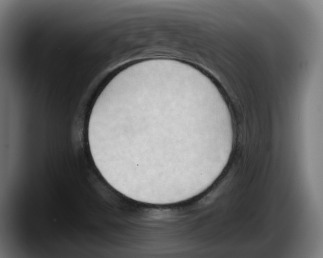 X0000087551499200705251729