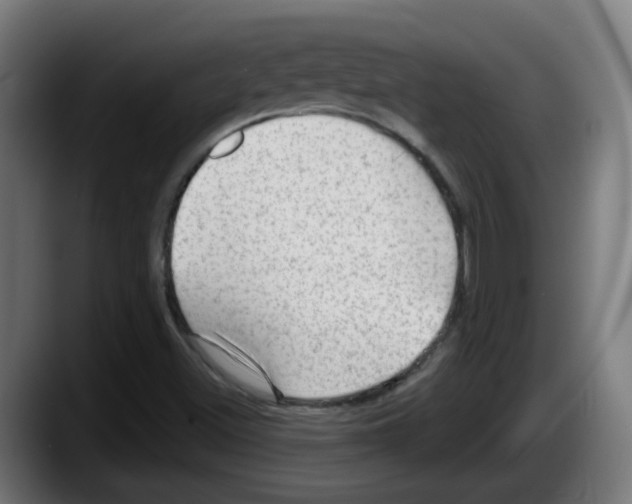 X0000087551500200705251730