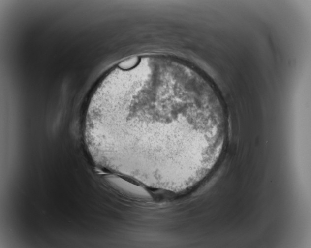 X0000087551501200705251730