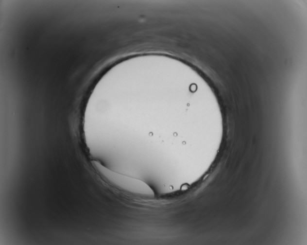 X0000087551502200705251730