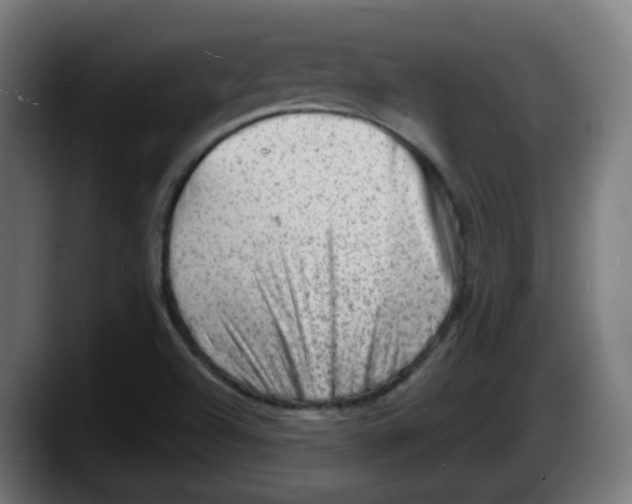 X0000087551504200705251730