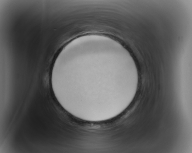 X0000087551505200705251730