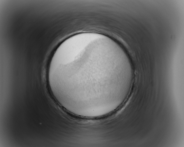 X0000087551506200705251730