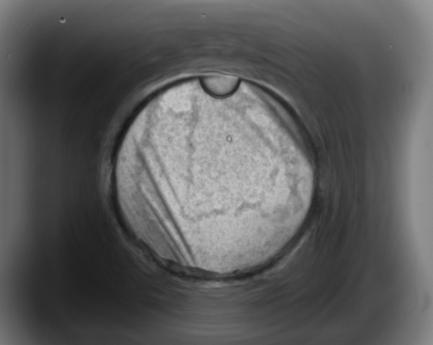 X0000087551507200705251730