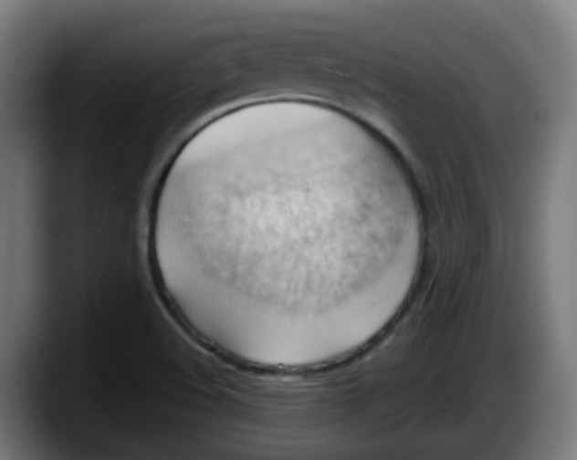 X0000087551508200705251730