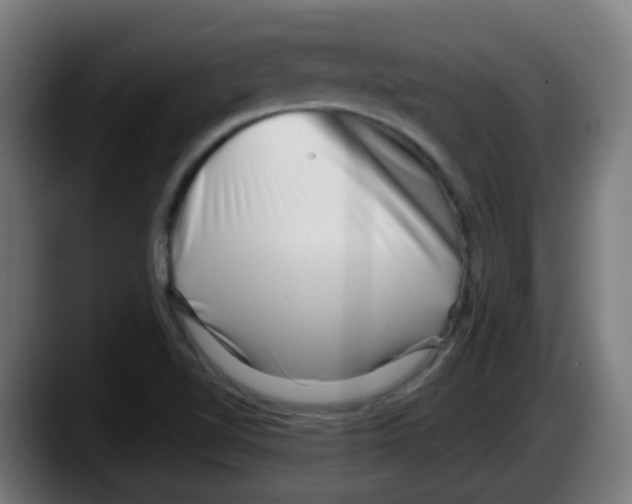 X0000087551510200705251730