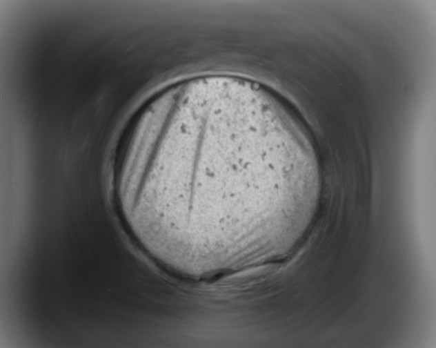 X0000087551511200705251730