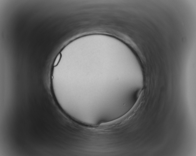 X0000087551512200705251730