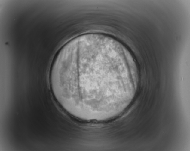 X0000087551513200705251730