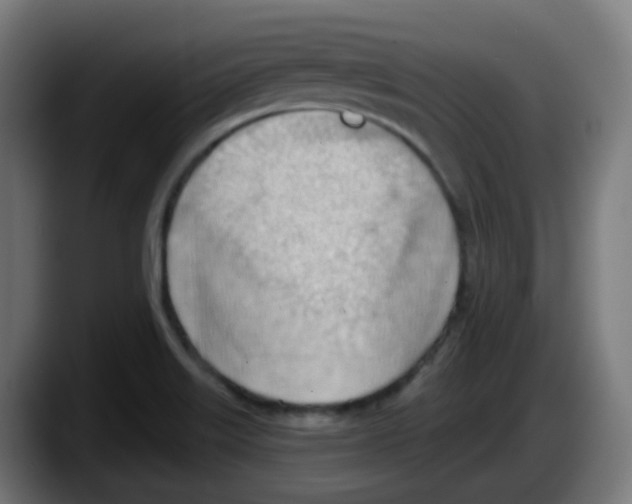 X0000087551515200705251730