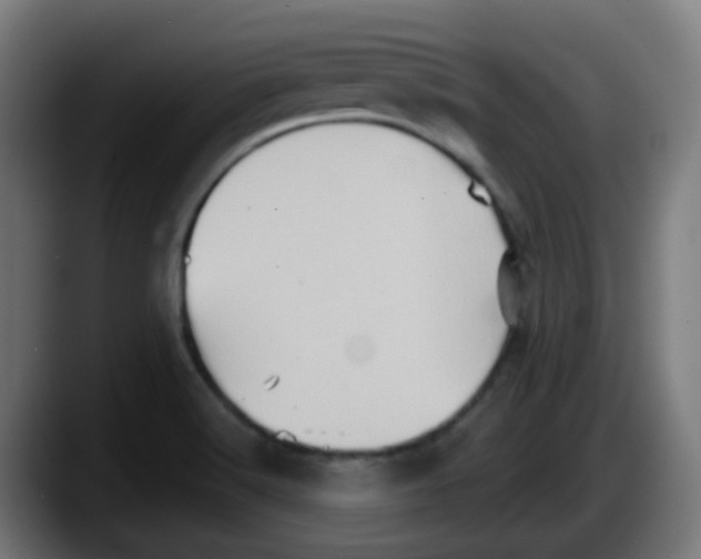 X0000087551516200705251730