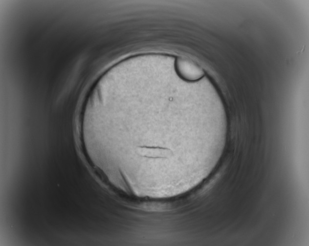 X0000087551517200705251730