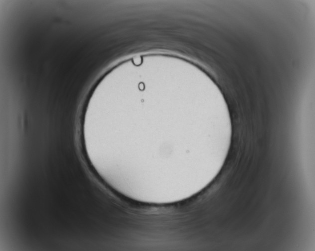 X0000087551518200705251730