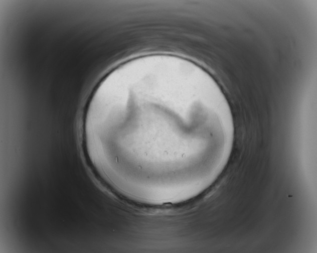 X0000087551519200705251730